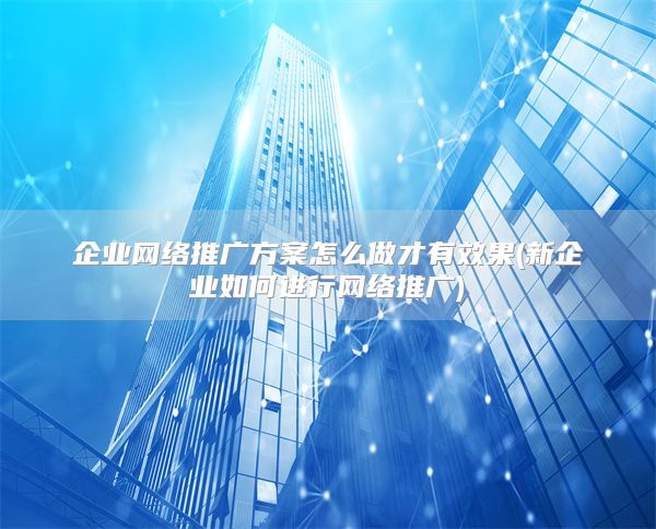 企业网络推广方案怎么做才有效果(新企业如何进行网络推广)
