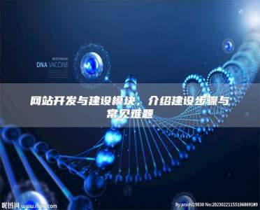 网站开发与建设模块，介绍建设步骤与常见难题