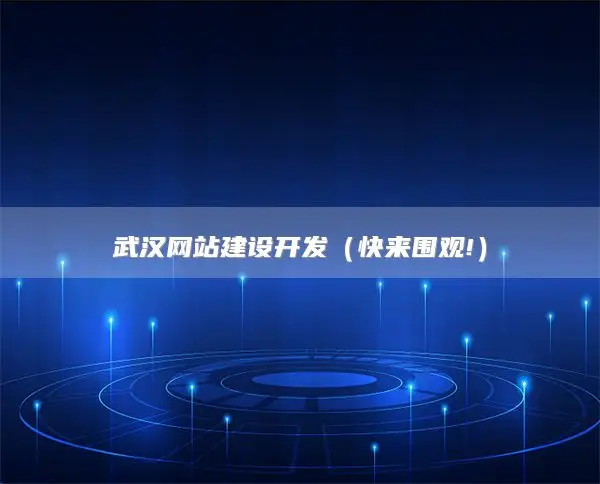 武汉网站建设开发，武汉专业SEO建站公司排名