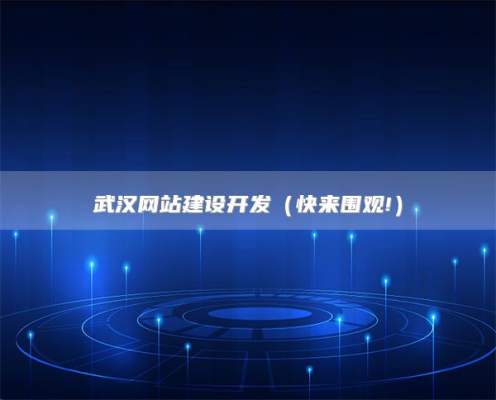 武汉网站建设开发，武汉专业SEO建站公司排名