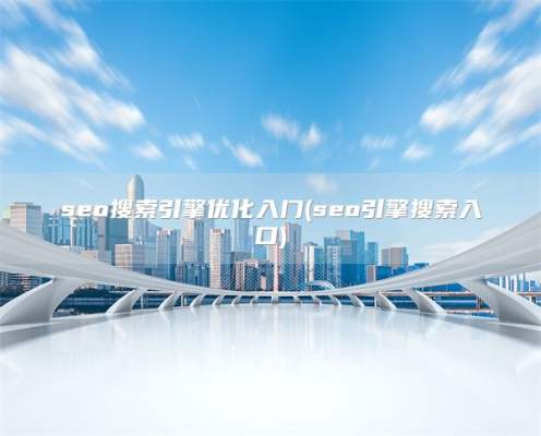 seo搜索引擎优化入门(seo引擎搜索入口)