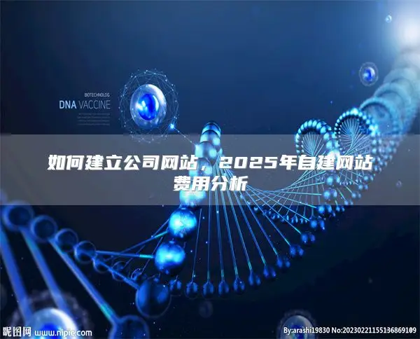 如何建立公司网站，2025年自建网站费用分析
