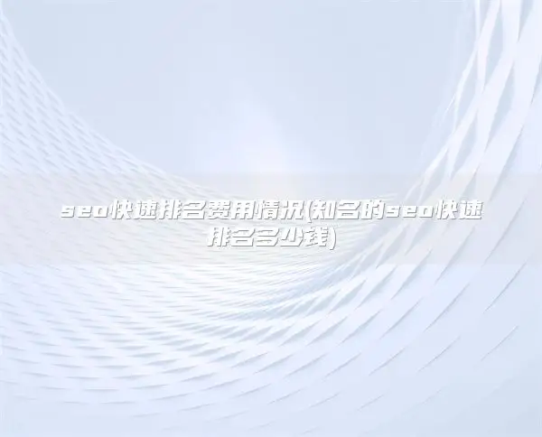 seo快速排名费用情况(知名的seo快速排名多少钱)
