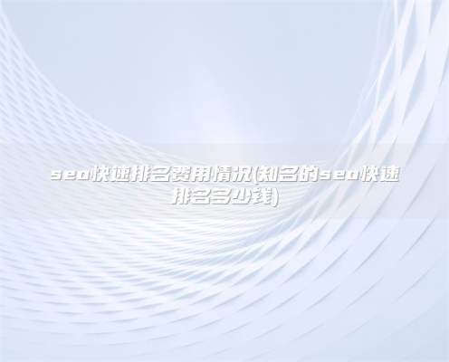 seo快速排名费用情况(知名的seo快速排名多少钱)