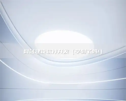 网站建设软件开发，方案流程